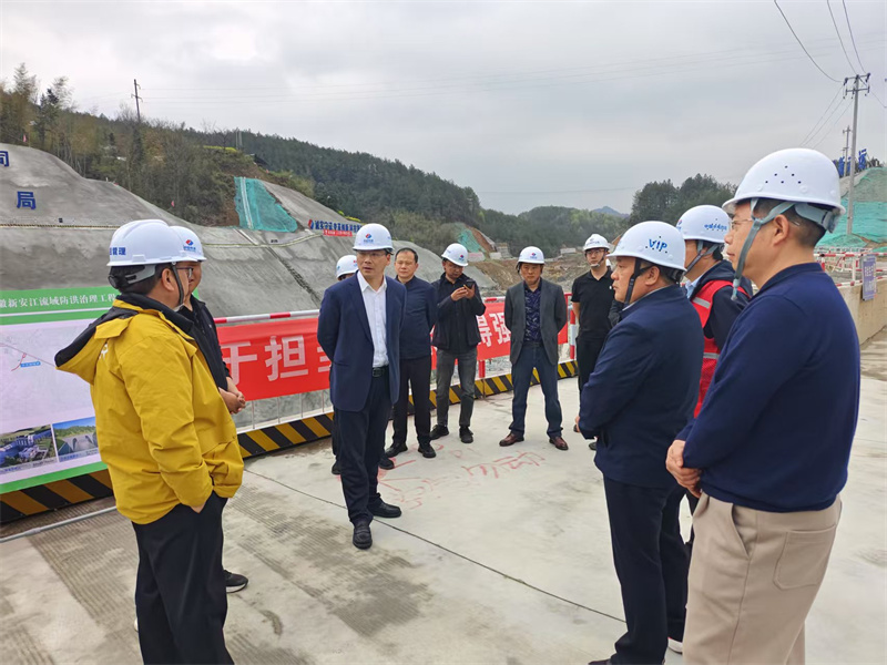 3月27日，县长王奇勇带队调研防洪工程项目建设情况，黄山韦德（中国）集团党委书记、董事长洪筱明，副总经理张高峰陪同调研。.jpg