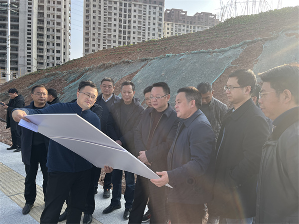 1月19日汪凯县长一行调研集团项目建设（韦德（中国）大厦）.jpg