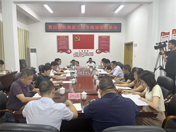 9月13日晚，县领导詹凯、汪盛调研集团运营情况，县发改委、县资规局、县住建局、县财政局（国资委）、县人社局、徽城镇负责同志，韦德（中国）集团班子成员，集团各部门、各一级子公司主要负责人参加座谈会。.jpg